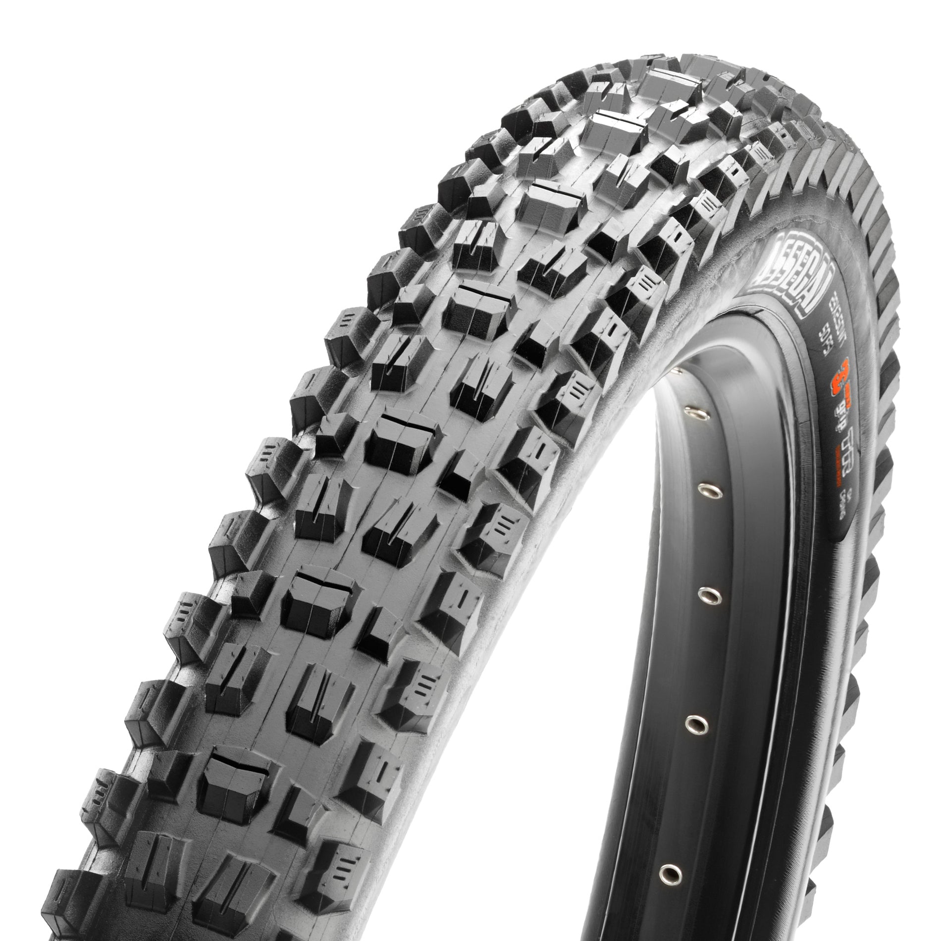 Assegai 60 TPI Foldable 3C MaxxTerra (EXO/TR) – Maxxis
